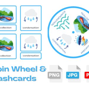 Water Cycle Spin Wheel & Flash Cards | Educational Science Printable | Digital Learning Activity